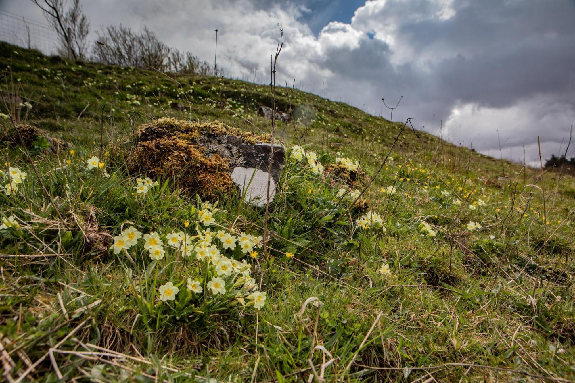 Edinbane Self Catering - On The Croft At Edinbane Βίλα Εξωτερικό φωτογραφία